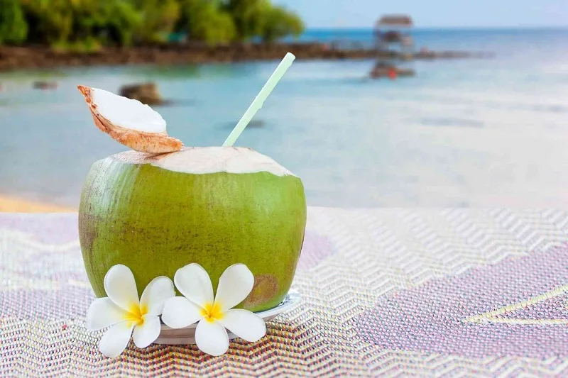 Lợi ích của dừa đối với sức khỏe