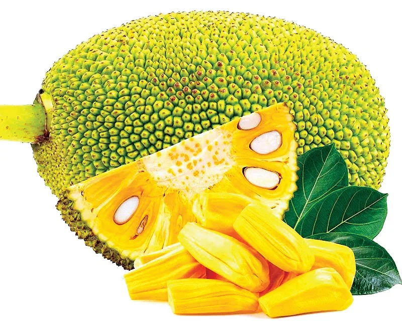 Mơ thấy quả mít là điềm lành hay điềm dữ?