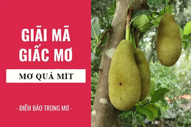 Giải mã ý nghĩa giấc mơ thấy quả mít theo từng trường hợp